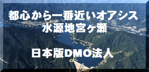 日本版DMO法人